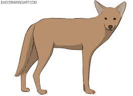 They will become even more wonderful to you. How To Draw A Coyote Easy Drawing Art