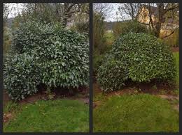 Dem Spruhregen Im Trotz Und Wird Fleissig Im Garten Gearbeitet Geschnitten Aufgeraumt Gereinigt Geharkt Gepflegt Und Vieles Mehr I Pflanzen Garten Unkraut