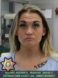 VOLENEC, HEATHER DIAN-HITCHCOCK BK2401492