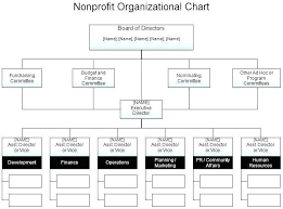Organizational Chart Nonprofit 2 Resume Layout