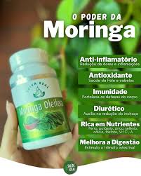 Produtos Naturais | Suplementos | A Moringa oferece vários benefícios para  sua saúde, sendo uma fonte rica em nutrientes essenciais como vitaminas,  minerais e antioxidantes.... | Instagram
