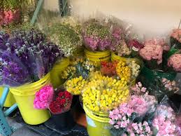 Our shop is located in the northside of chicago; Chicago S Wholesale Florist Home Facebook