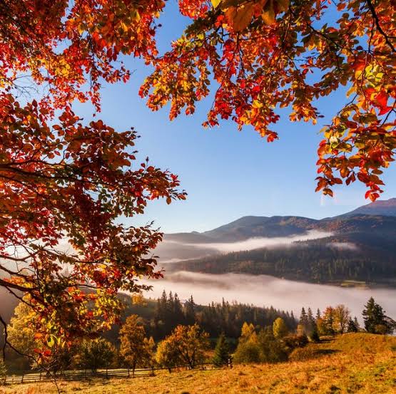 60 Beautiful Fall Pictures That Evoke the Change of Seasons