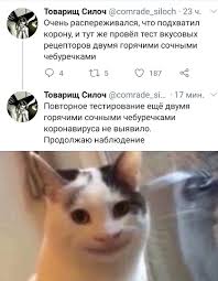 Товарищ Силоч @сотгас1е_8ПосИ • 23 ч. Очень распереживался, что подхватил  корону, и тут же провёл т / чебурек :: приколы про еду :: коронавирус ::  картинка с текстом / смешные картинки и