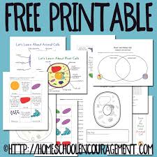 Animal cell parts 6th grade. Plant And Animal Cell Printables Grades 4 6 Science Cells Sixth Grade Science Animal Cell