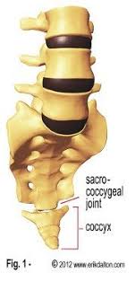 Pin On Massage Therapy