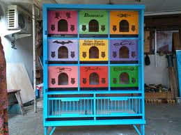 Assalamaualaikum selamat siang teman teman hari ini fatih mau main ke kandang merpati punya teman fatih.namanya a hafiz. Begini Cara Ternak Burung Merpati Dari Awal Sampai Sukses Panen