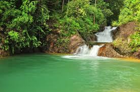 Lokasi hutan lipur konifer ini letaknya di bukit tinggi dan berdekatan dengan lebuhraya. Hutan Lipur Negeri Pahang Jabatan Perhutanan Semenanjung Malaysia Results From 20