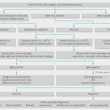 You probably first heard of mononucleosis, or mono for short, while you were still in high school. Algorithm For Diagnosing Infectious Mononucleosis Download Scientific Diagram
