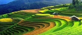 Image result for cổng trời sapa