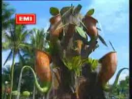 Universal music malaysia 5 years ago. Phoneky Videos Hd Films De Uji Rashid Hail Amir Seloka Hari