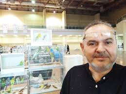 HATAY KAFES KUŞLARI GRUBU (tüm ilçeler )