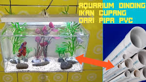 Aquarium mini acrylic ikan cupang unik murahrp159.999: View Ikan Cupang Model Aquarium Unik Gif