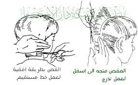 إدخال لغة نكتة تعلم قص شعر النساء dsvdedommel com