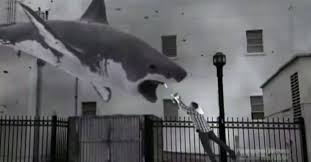 Please, try to prove me wrong i dare you. Quiz Sharknado Plot Point Or Real Life Shark Encounter Time