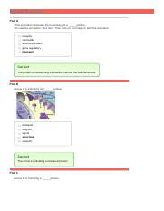 Protein Functions Pdf Protein Functions Part A This Animation Illustrates The Functioning Of A Protein To View The Animation Click Here Then Click On Course Hero