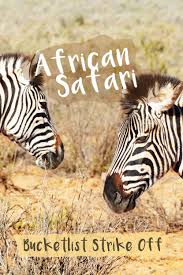 What An African Safari With The Big 5 Is Really Like Travel On The Brain African Travel African Safari Africa Travel