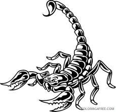 Mortal kombat coloring pages are a fun way for kids of all ages, adults to develop creativity, concentration, fine motor skills, and color recognition. Scorpion Coloring Pages Scorpion Best Msky1n Printable Coloring4free Coloring4free Com Coloring Home