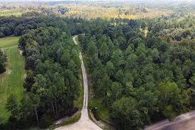 Flint River Preserve