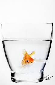 They give precise shreds of colors that clearly give exquisite details. Goldfish In Glass Drawing By Desire Doecette