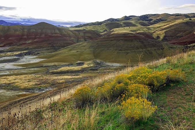 Exploring The Painted Hills in Central Oregon