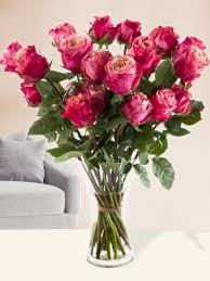Located in the ecuadorian valley of machachi, ecoroses rose farm takes great pride in cultivating its best roses and serving its wholesale flowers customers. 20 Ecuador Rosen In Pink Surprose