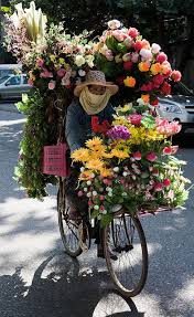 Flower Bikes Beautiful Flowers Flowers Pretty Flowers