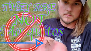 DREX 164' discus.avi