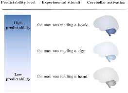 Image result for Cerebellar Function Test