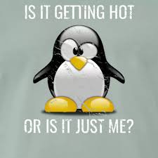 Is It Hot In Here Or Is It Just Me Pleiwell Apparel Is It Getting Hot In Here Or Is It Just Me Global Mens Premium T Shirt In 2020 Slim Fit Men Men Apparel