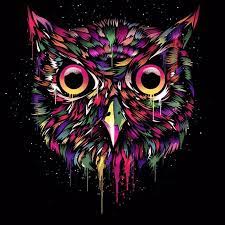 Duvar Kagidi Owl Cat Dog Duvarkagidi Wallpaper Galatasaray Fenerbahce Besiktas Burakozcivit Fahriyeevcen Cagatayuluso Owl Mouse Pad Personalized Mouse Pad