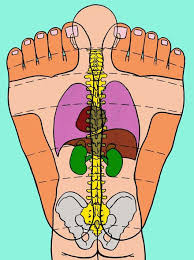 Punctele reflexogene devin dureroase la presiune, datorita depunerilor de toxine. Reflexoterapie Talpa