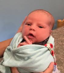 Spruce Grove Newsletter