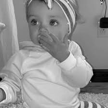 Katie Fitzgerald Hill (memetater)