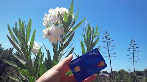 Deutsche bank ag is a german multinational investment bank and financial services company headquartered in frankfurt, germany. Spanisches Bankkonto Eroffnen Auf Teneriffa Infos Tipps