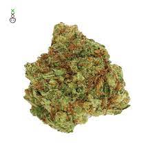 Tenemos varias formas de realizarla según el fin. Blue Monkey Cbd Feminised Seeds De Amsterdam Genetics Seedsman Espana Marihuana Semillas