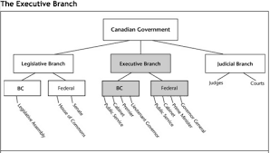 The Political Spectrum Flashcards Quizlet