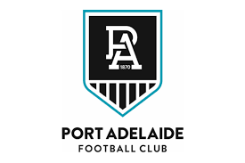 All places, streets and buildings photos from satellite. Port Adelaide Football Club Museum