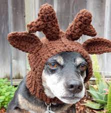 Crocheted Reindeer Hat For Dogs Crochet Christmas Dog Crochet Reindeer Crochet Reindeer Hat Reindeer Hat