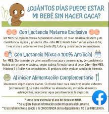 Amo A Mi Hijo Para Saber Un Poco Mas Sobre Las Deposiciones De Los Bebes Una De Las Preocupaciones Mas Comunes De Los Padres Tras La Llegada Del Recien Nacido Es