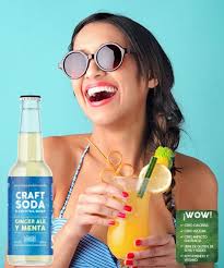 CRAFT SODA GINGER ALE & MENTA