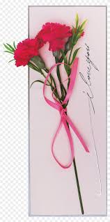 Pink Carnation Carnation Hd Png Download 1600x1616 3669152 Pngfind Find over 100+ of the best free pink carnation images. pngfind