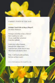 Perhaps You D Like To Buy A Flower By Emily Dickinson Garden Poems Flowers Poem A Day