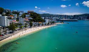 Wellington S Beaches And Bays Wellingtonnz Com Capital Of New Zealand Cuba Street Things To Do