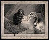 The longevity of the dream depends on your character as well. Dream Wikipedia