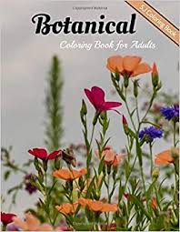 It is a great way to relax! Botanical Coloring Book For Adults Flowers And Plants Coloring Pages Amazon Co Uk Coloring Book S J 9798641684741 Books