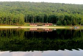 Each site has a picnic table beneath a shade ramada, a fire ring, barbecue grill, and a flat spot to set up a tent. See Them All Challenge Pennsylvania Parks And Forests Foundation