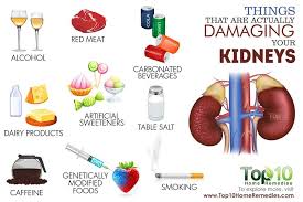 Are You Unknowingly Damaging Your Kidneys Top 10 Home Remedies Foods Bad For Kidneys Kidney Health Health