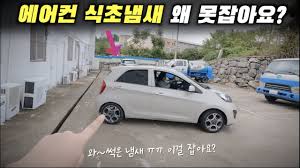 차에서 식초 냄새가 나네요 ㅠㅠ - 클리앙