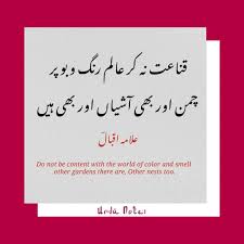 Allama Iqbal Best Shayari Best Urdu Poetry With English Translation Allama Iqbal Shayari In Urdu Allama Iqbal Urdu Poetry Poetry